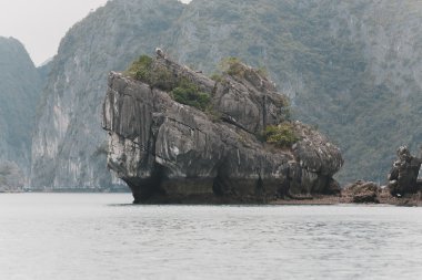 vietnam'ın güzel doğası 