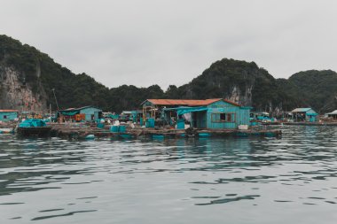 Güzel sahne Vietnam dağlar