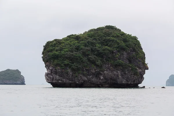 vietnam'ın güzel doğası 
