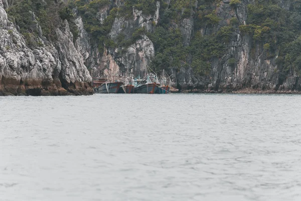 vietnam'ın güzel doğası 