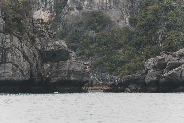 vietnam'ın güzel doğası 