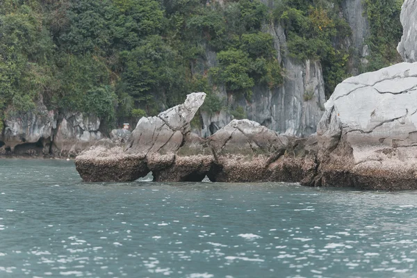 vietnam'ın güzel doğası 