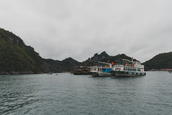 Hermoso paisaje montañas de Vietnam —  Fotos de Stock