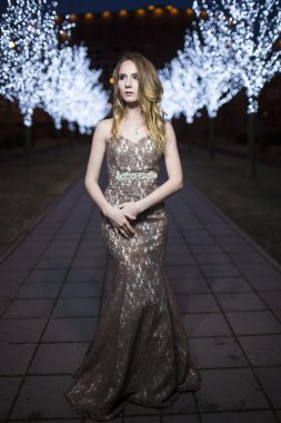 Güzel elbiseli bir kadın portresi