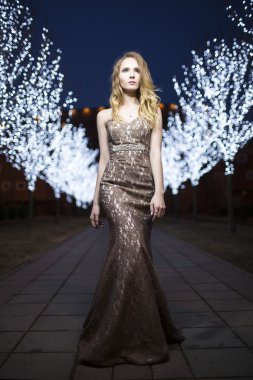 Güzel elbiseli bir kadın portresi