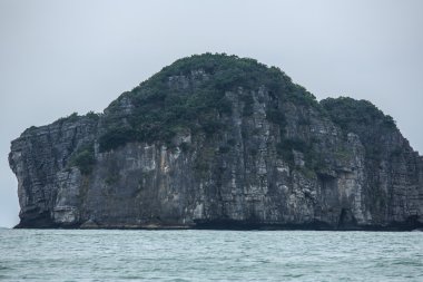 Güzel sahne Vietnam dağlar