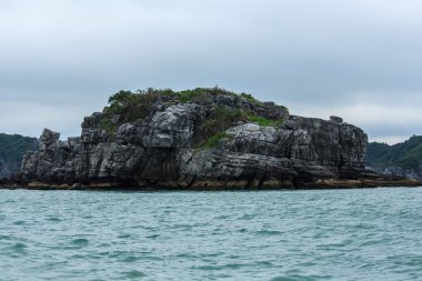 Güzel sahne Vietnam dağlar