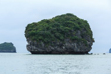 Güzel sahne Vietnam dağlar