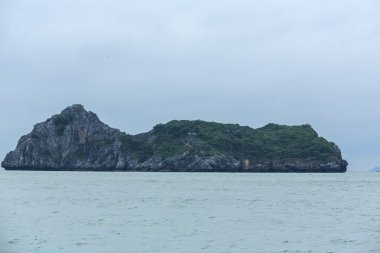 Güzel sahne Vietnam dağlar