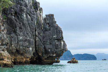 Güzel sahne Vietnam dağlar