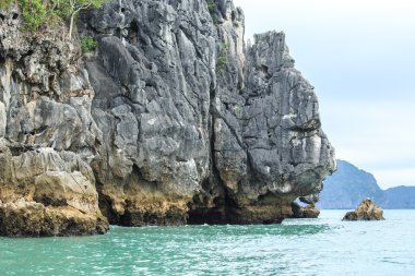 Güzel sahne Vietnam dağlar