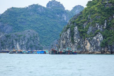 Güzel sahne Vietnam dağlar