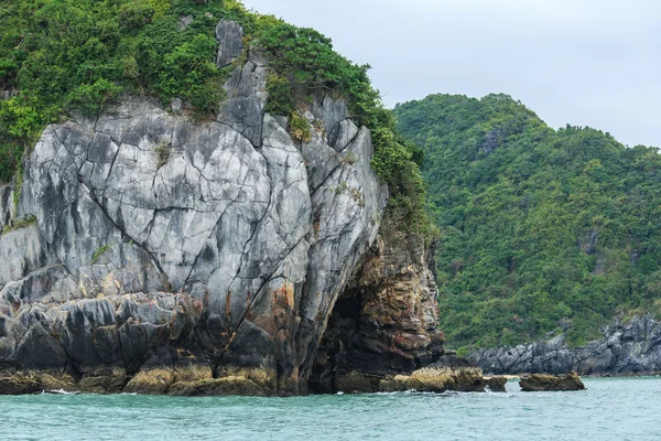 Beau paysage Vietnam montagnes — Photo