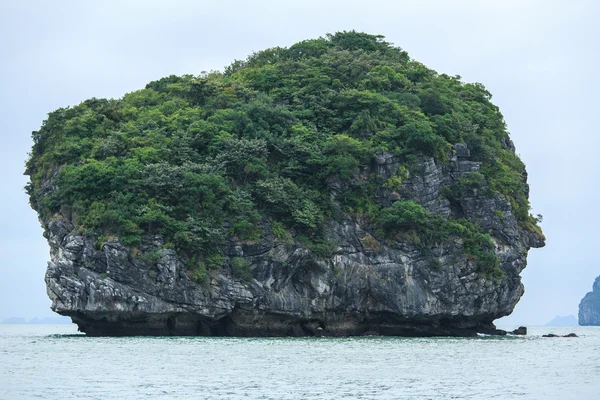 Beau paysage Vietnam montagnes — Photo