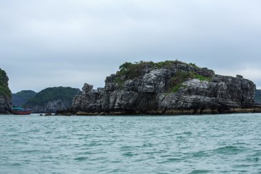 Güzel sahne Vietnam dağlar