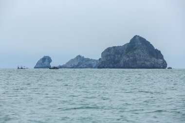 Güzel sahne Vietnam dağlar