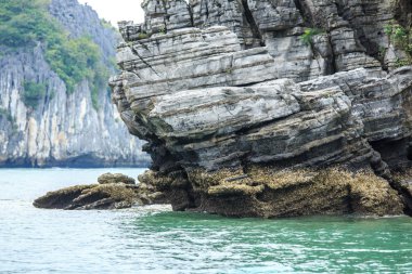 Güzel sahne Vietnam dağlar