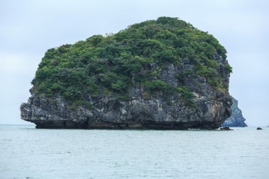 Güzel sahne Vietnam dağlar