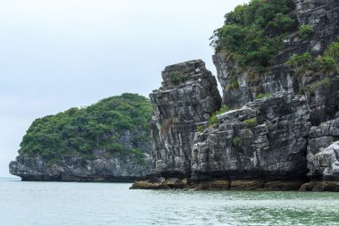 Güzel sahne Vietnam dağlar