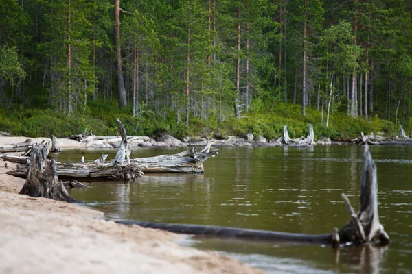 Rusia paisaje naturaleza — Foto de Stock