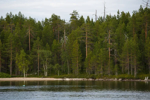 Rusland landschap natuur — Stockfoto