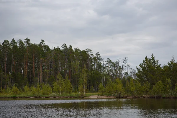 Rusland landschap natuur — Stockfoto