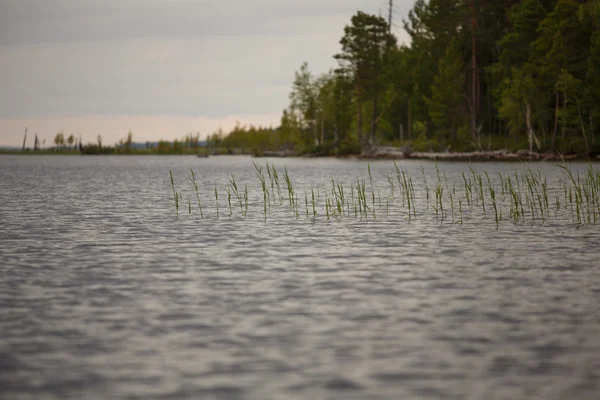 Rusia paisaje naturaleza — Foto de Stock