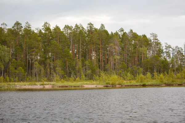 Rusia paisaje naturaleza — Foto de Stock