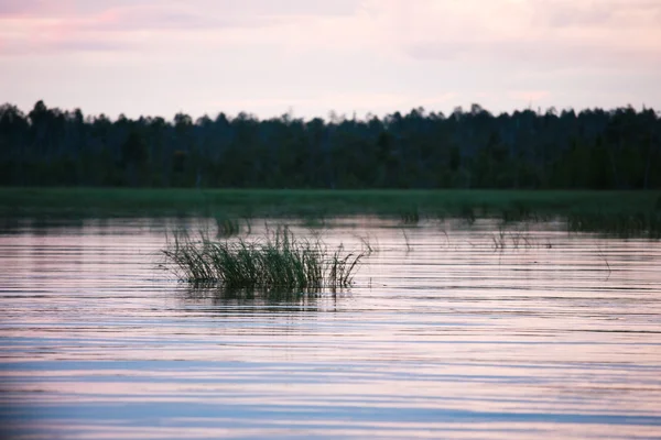 Rusland landschap natuur — Stockfoto