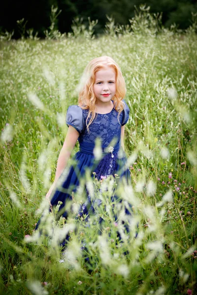 Portrait de belle petite fille dans la robe bleue — Photo