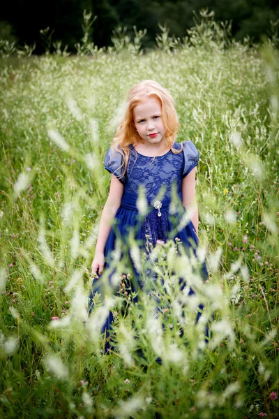 Mavi elbiseli güzel küçük kız portresi