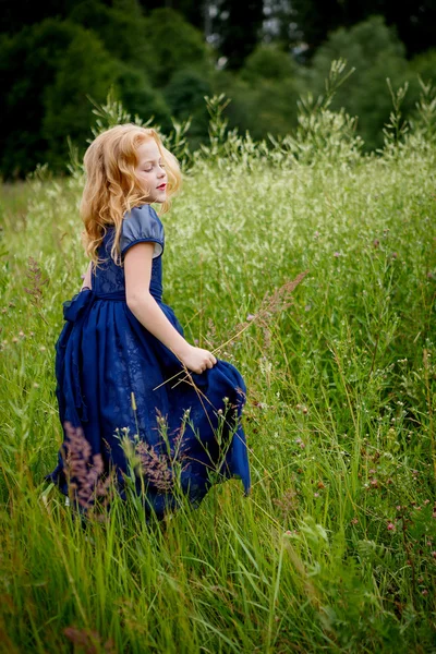 Portrait de belle petite fille dans la robe bleue — Photo