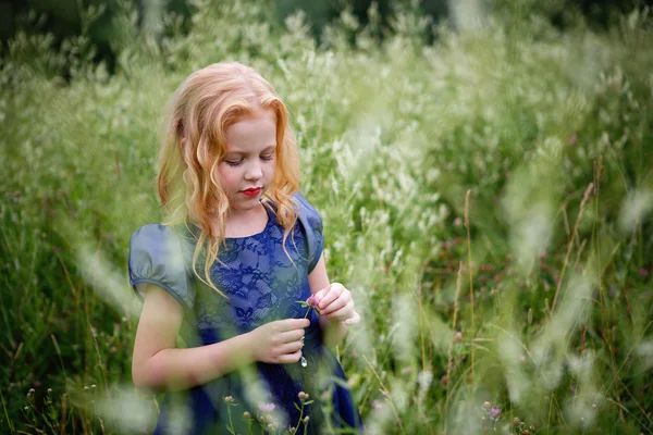 Portret van mooie meisje in de blauwe jurk — Stockfoto