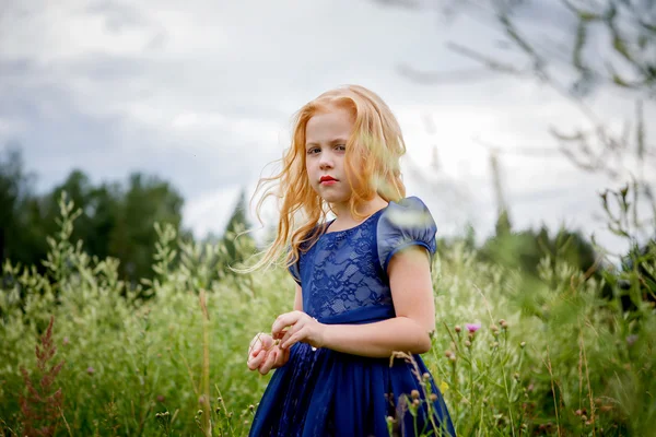 Portrait de belle petite fille dans la robe bleue — Photo