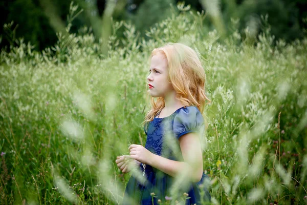 Portrait of beautiful little girl in the blue dress — Stock Photo, Image