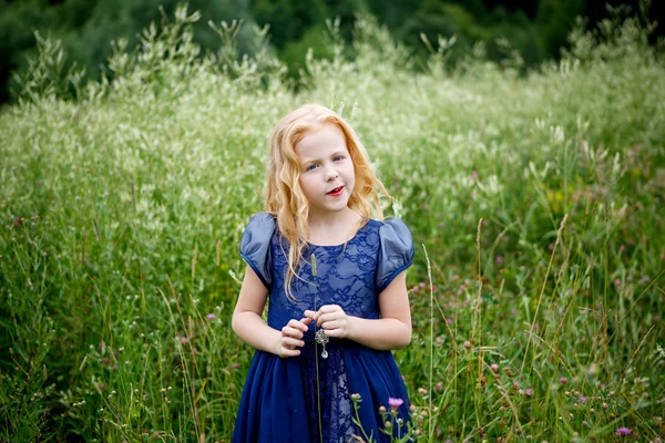 Portrét krásné malé dívky v modrých šatech — Stock fotografie