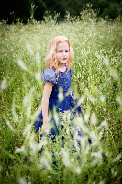 Portrait of beautiful little girl in the blue dress — Stock Photo, Image