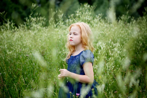 Potret gadis kecil yang cantik dengan gaun biru — Stok Foto