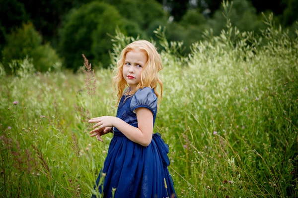 Портрет красивої маленької дівчинки в блакитній сукні — стокове фото