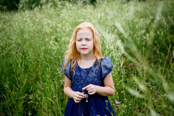 Mavi elbiseli güzel küçük kız portresi — Stok fotoğraf