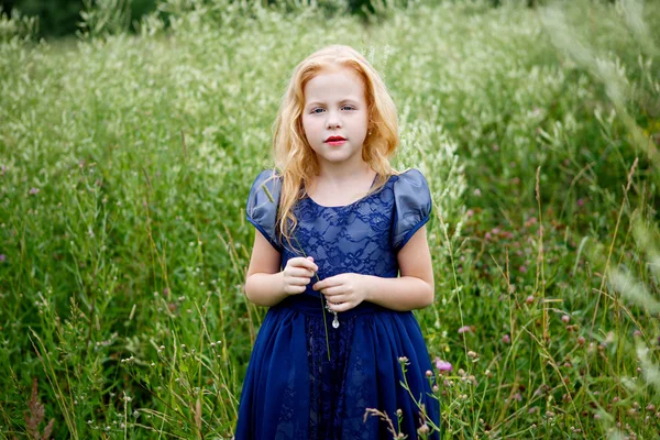 Portret van mooie meisje in de blauwe jurk — Stockfoto