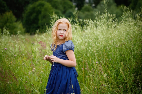 Mavi elbiseli güzel küçük kız portresi