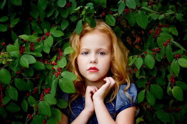 Szép kislány, egy kék ruhás portréja Jogdíjmentes Stock Képek