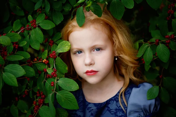 Ritratto di bella bambina vestita di blu — Foto Stock