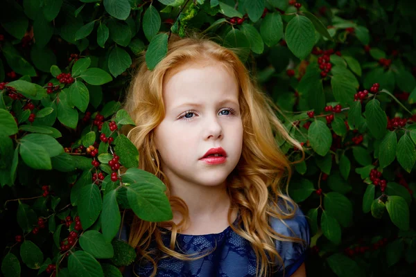 Portrait of beautiful little girl in a blue dress — Stock Photo, Image