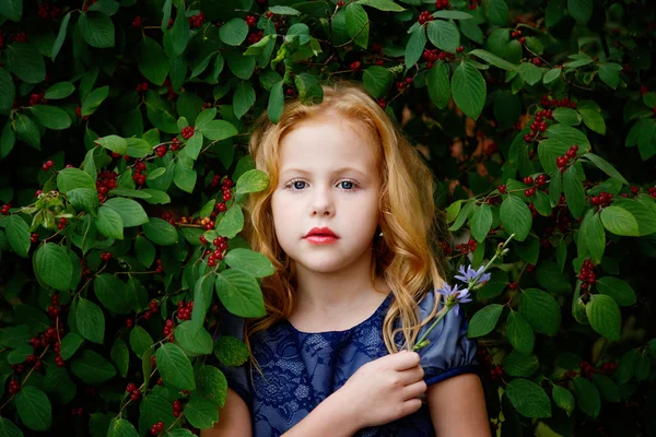 Porträt der schönen kleinen Mädchen in einem blauen Kleid — Stockfoto