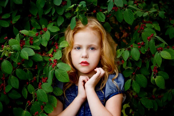 Retrato de niña hermosa en un vestido azul —  Fotos de Stock