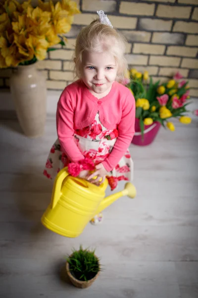 Portret van een mooi klein meisje — Stockfoto