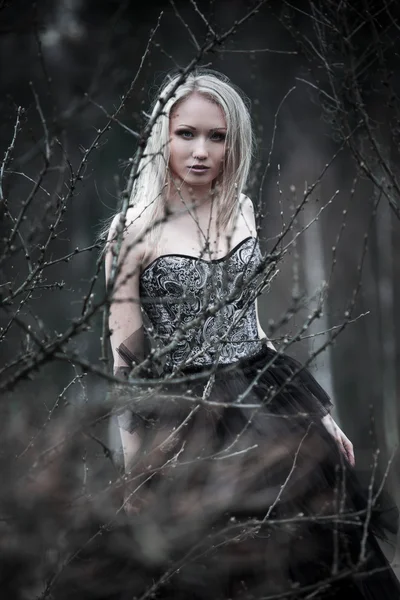 Portrait of beautiful girl in black dress — Stock Photo, Image