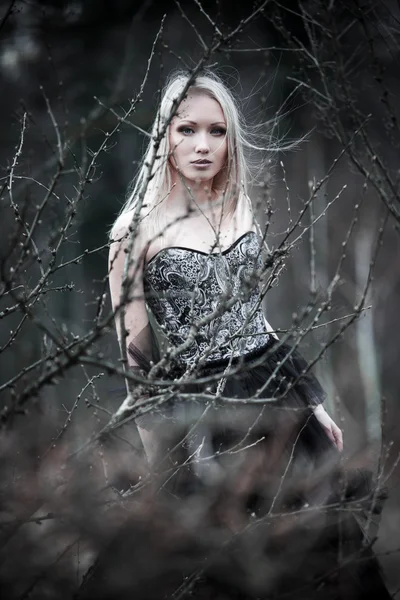 Portrait of beautiful girl in black dress — Stock Photo, Image